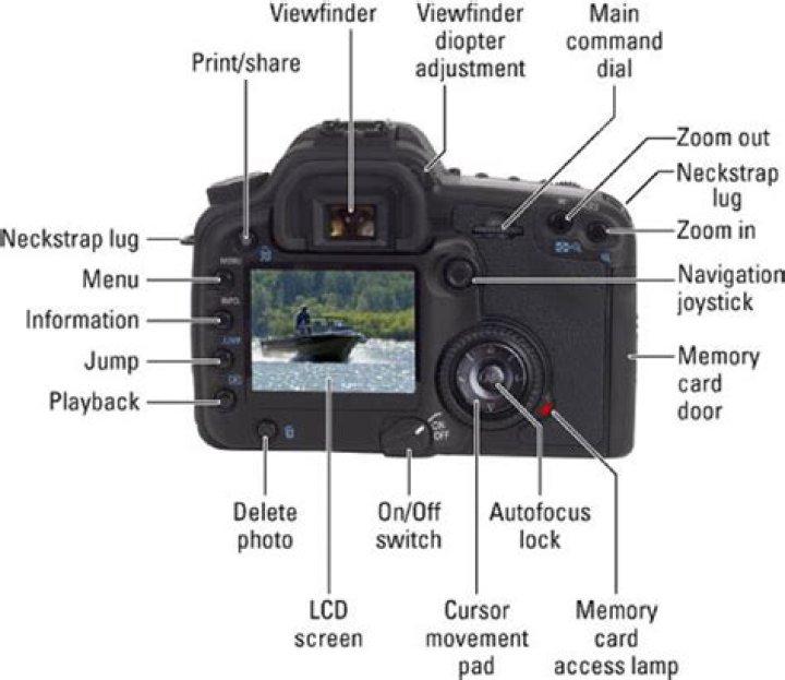 What does a dual camera do?