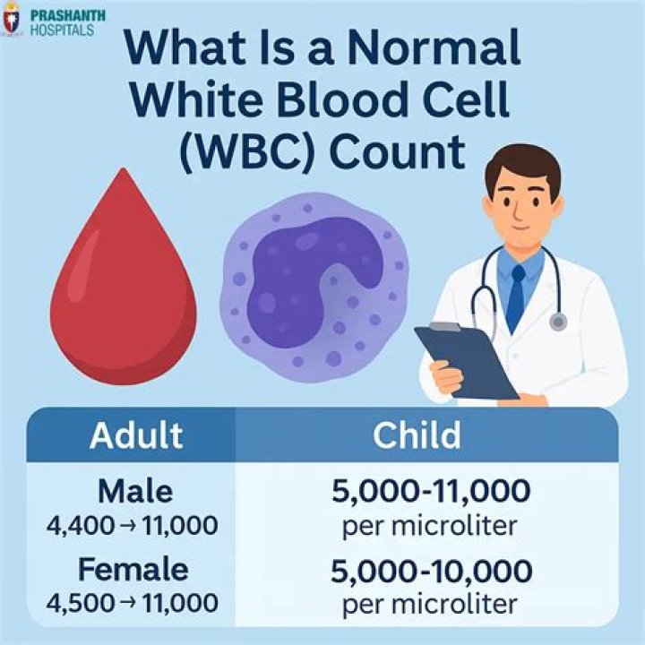 What does abnormally high white blood cell count mean?