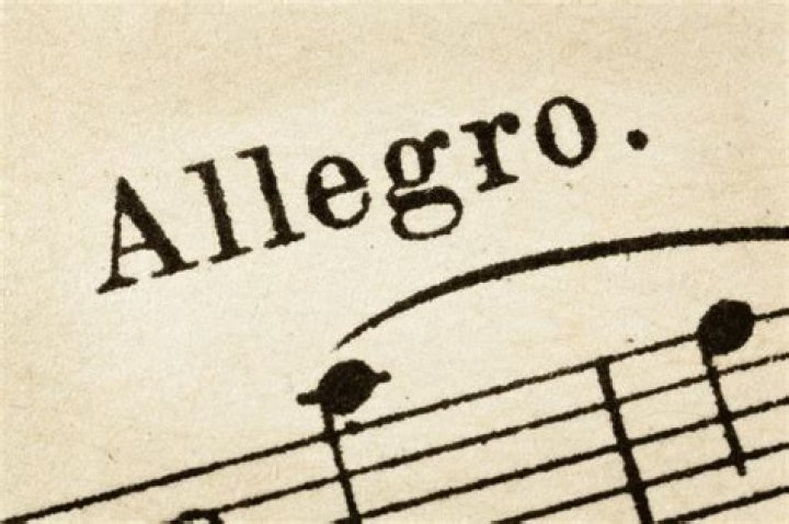 What does allegro con brio mean in music terms?