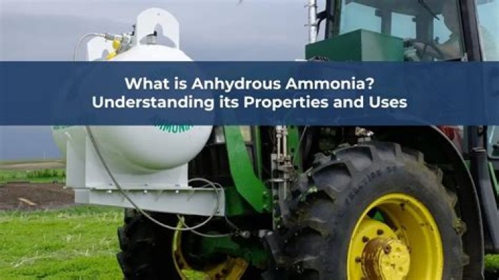 What does ammonia do to plants?