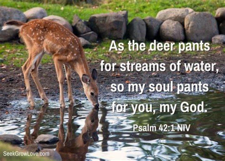 What does As the deer pants for the water mean?
