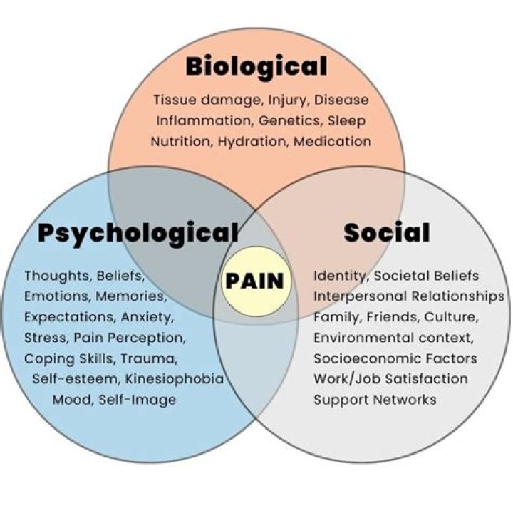 What does Biopsychosocial mean in nursing?