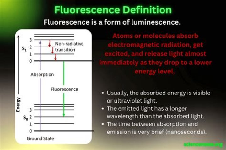 What does Fluorescence Polarization do?
