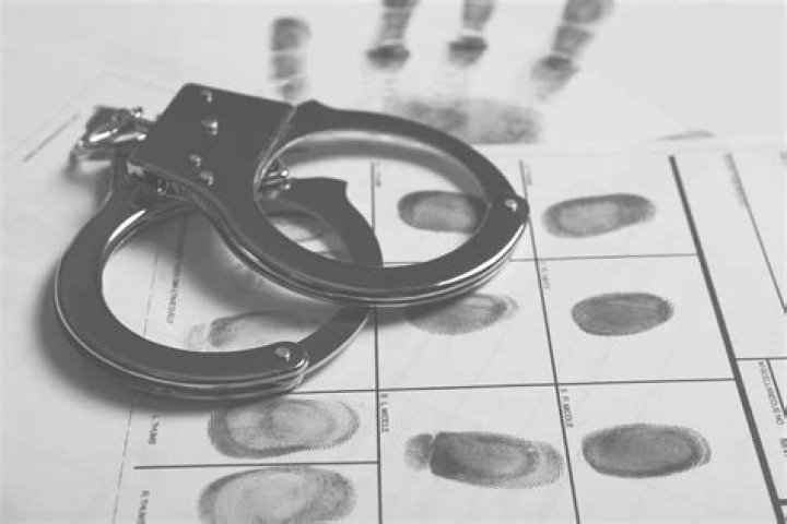What does it mean by criminal activity?