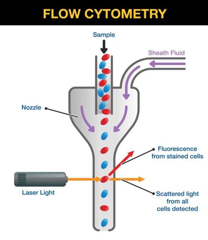 What does MFI mean in flow cytometry?