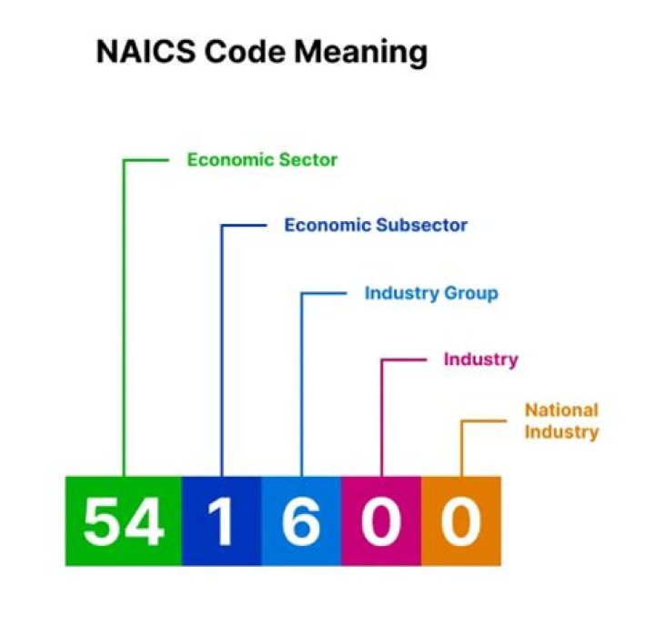 What does Naics code 541611 mean?