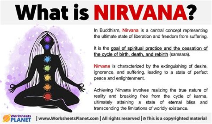 What does Nirvana logo mean?