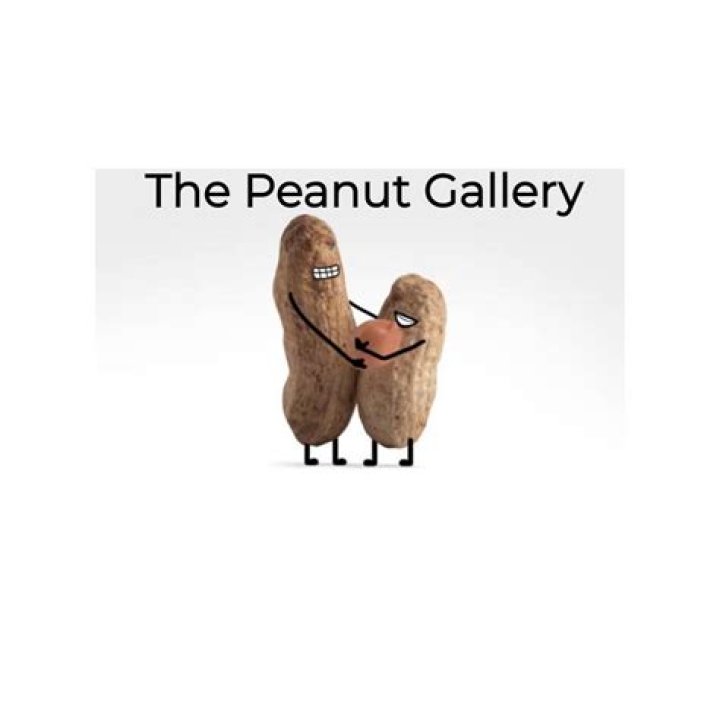 What does peanut gallery mean in slang?