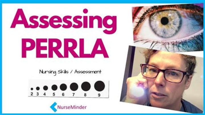What does Perla mean in medical terms?