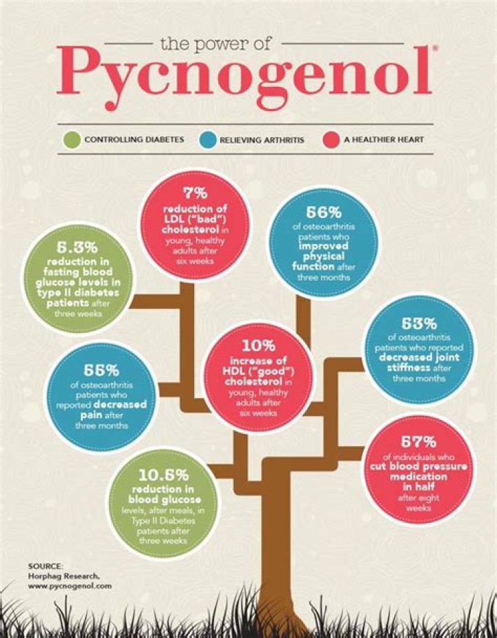 What does pycnogenol do for your body?