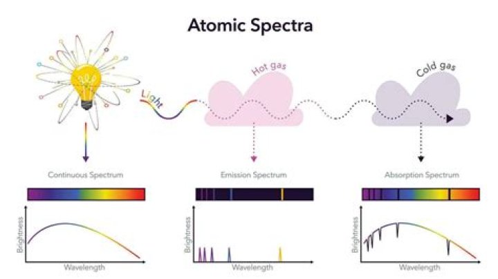 What does Spectra Logic do?