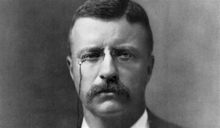 What does Teddy Roosevelt Big Stick mean?