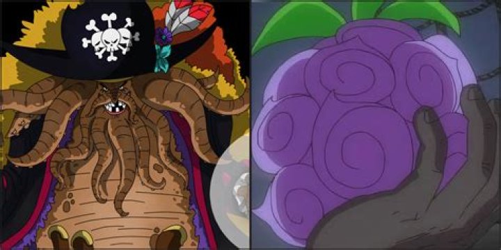 What does the Gura Gura fruit do?