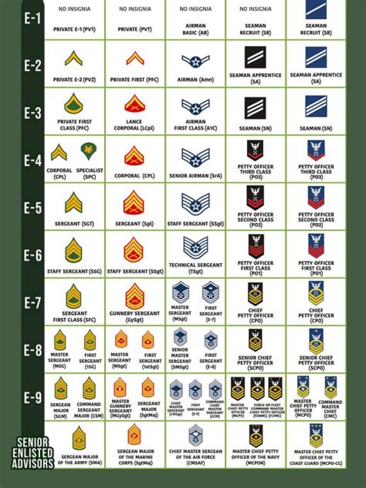 What does the military name their dogs?