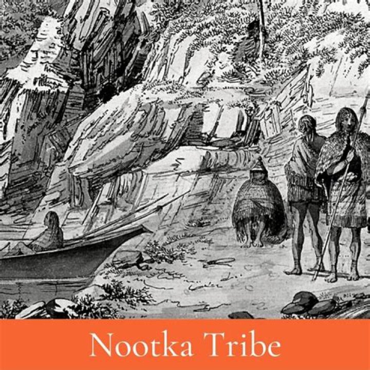 What does the Nootka tribe eat?