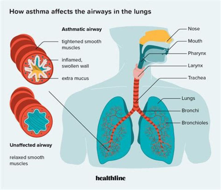 What does to atomize mean?