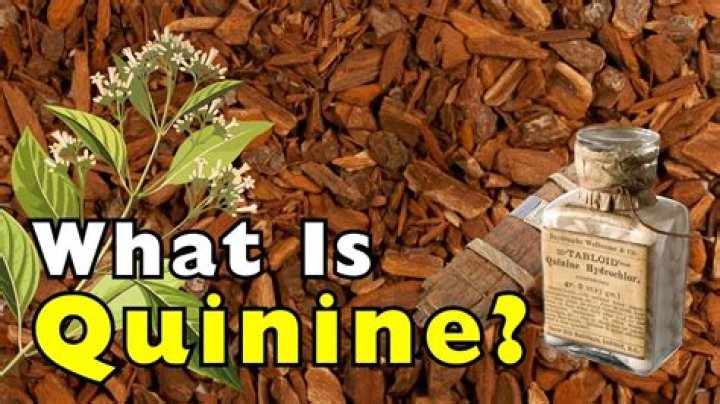 What drinks is quinine found in?