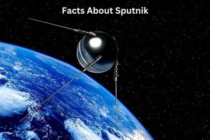What effect did Sputnik have on American education?