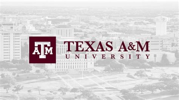 What essay does Texas A&M require?