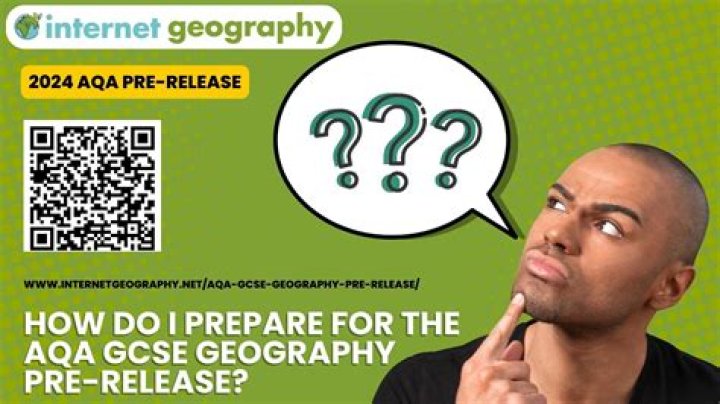 What global issues do geography study?