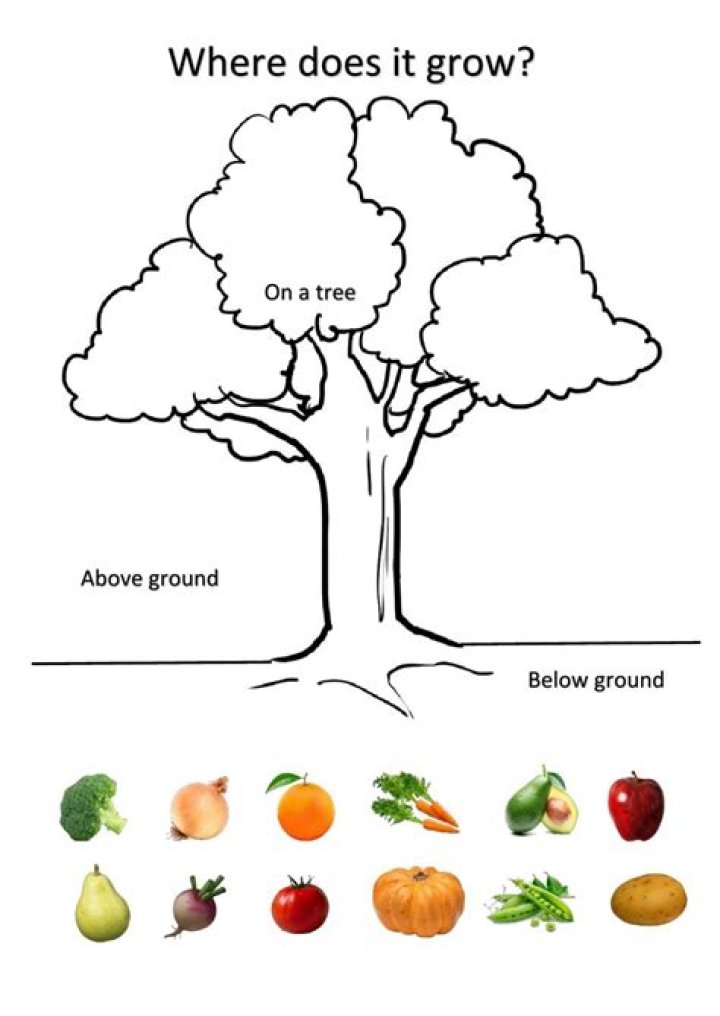 What grows around the ground?