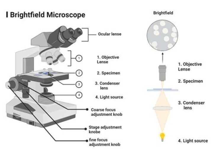 What happened to BrightScope?