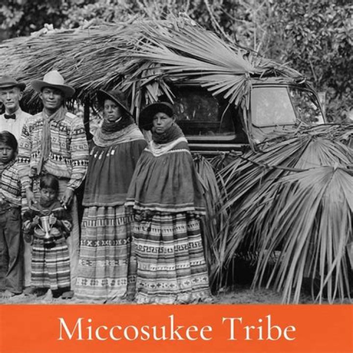 What happened to the Miccosukee Tribe?