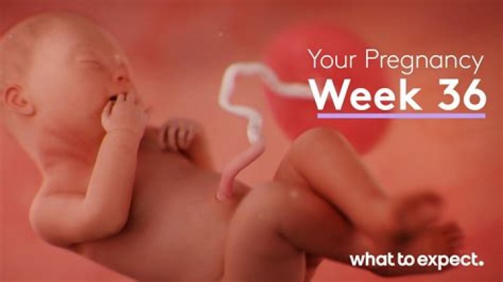 What happens at my 36 week appointment?