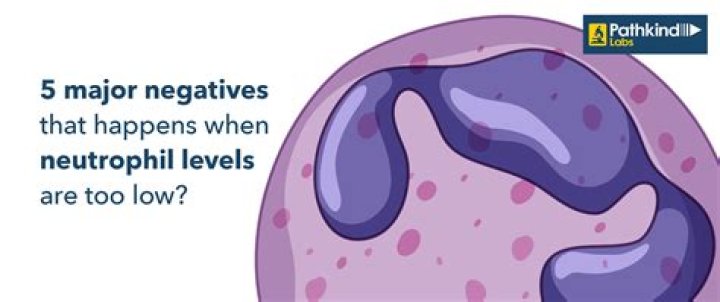 What happens if neutrophil count is low?