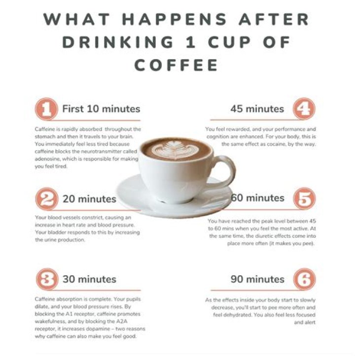 What happens if you drink caffeine before EEG?