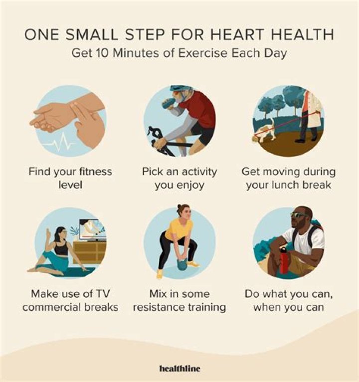What happens to your heart when you regularly exercise?
