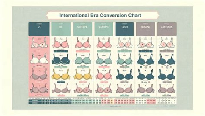 What is 38DD bra?