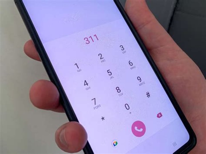 What is a 311 service?