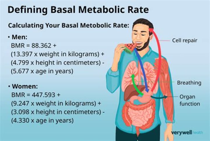 What is a basal area factor?