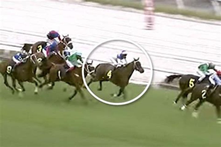 What is a double in horse racing?