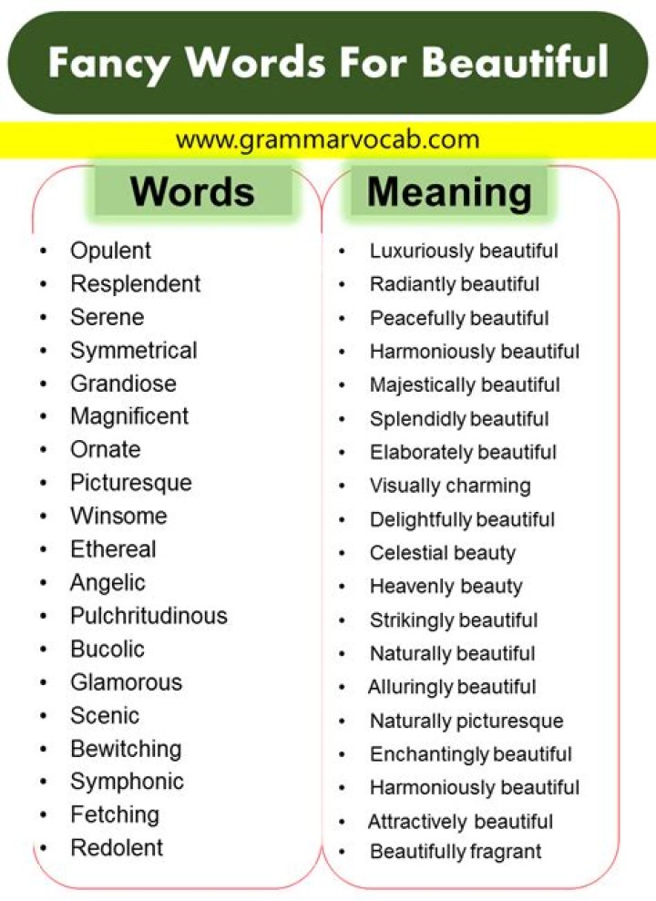 What is a fancy word for meal?