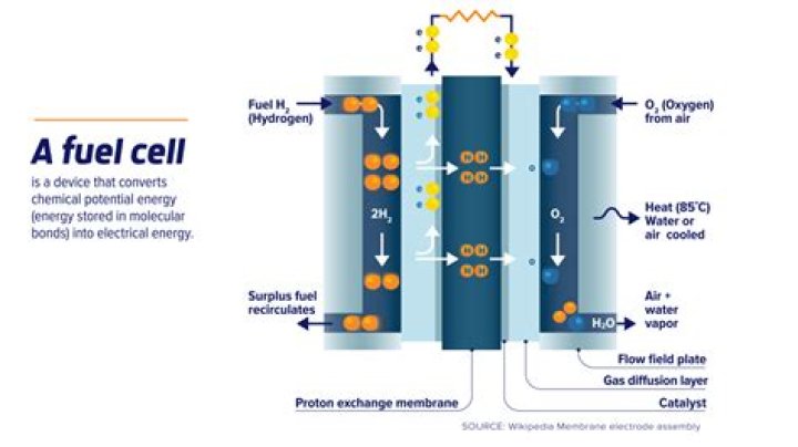 What is a fuel cell membrane made of?