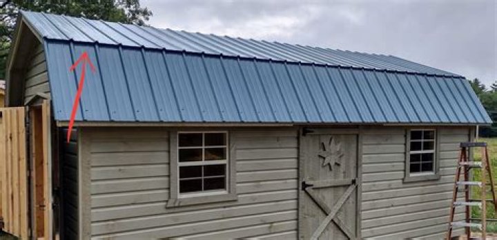 What is a gambrel on a horse?