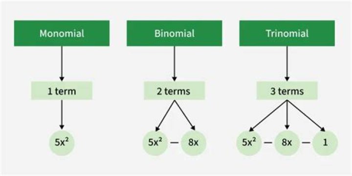 What is a monomials in algebra?