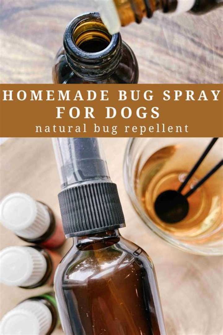 What is a natural bug repellent for dogs?