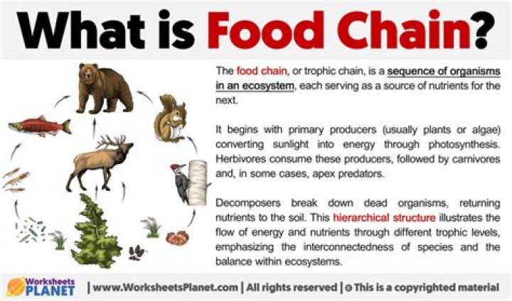 What is a necessary food substance?