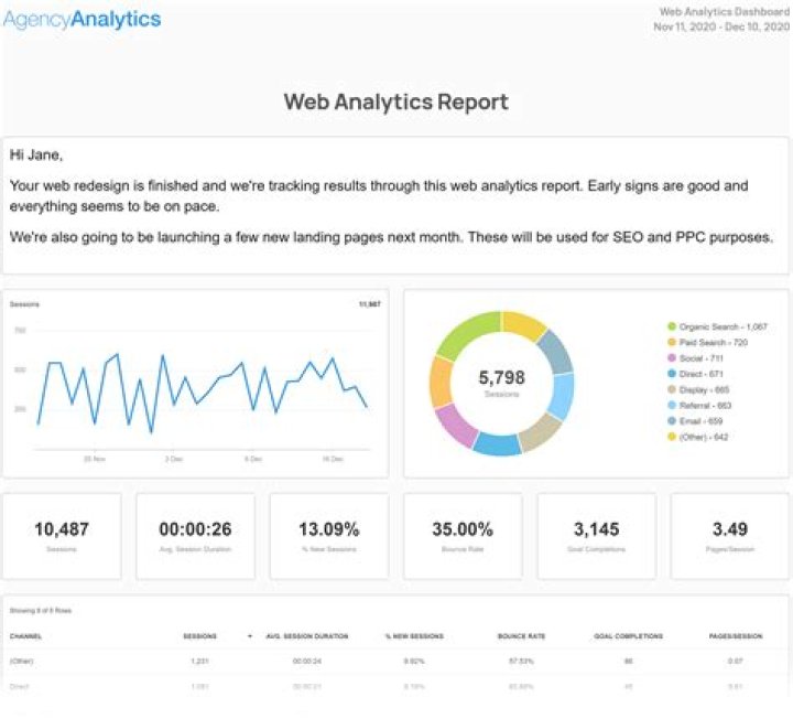 What is a web business analyst?