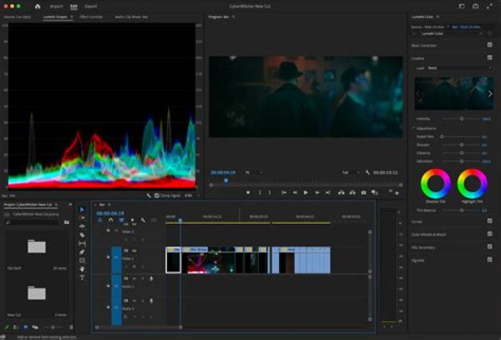 What is Adobe Director?