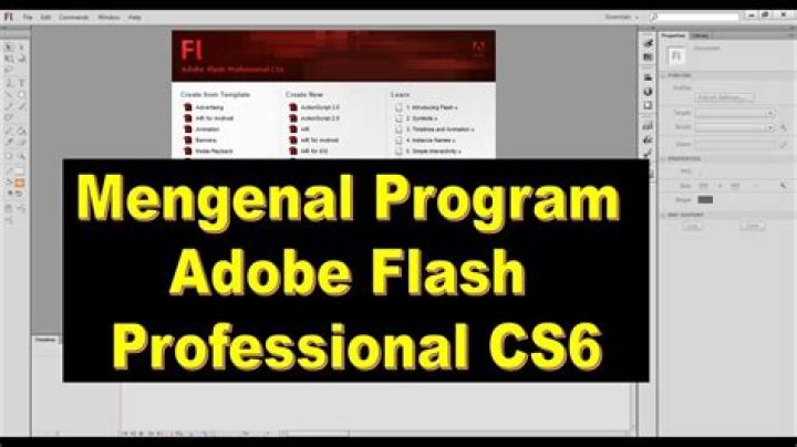 What is Adobe Flash Pro CS6?