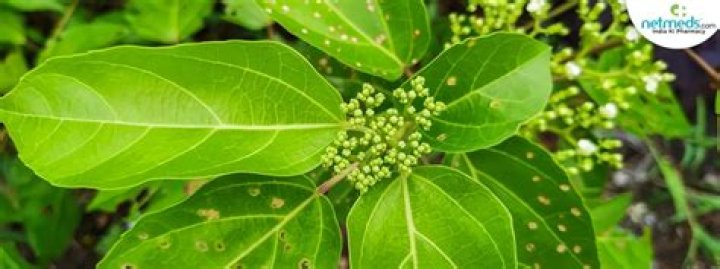 What is Agnimantha?