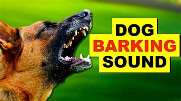 What is barking known for?