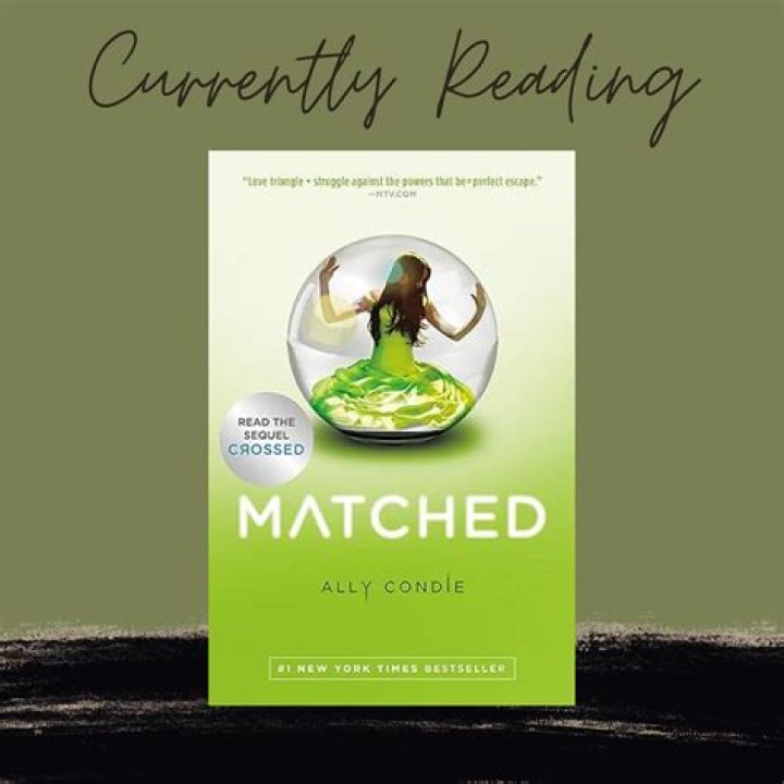 What is being Matched in the book Matched?