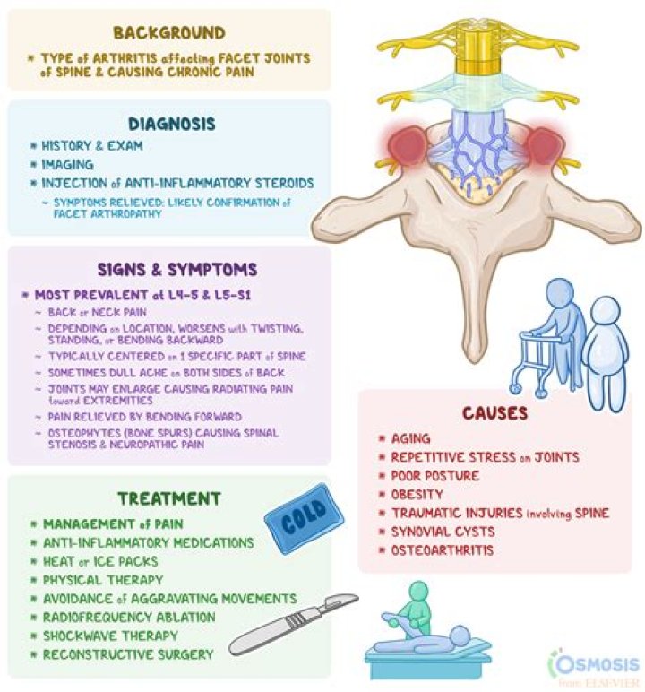 What is bilateral degenerative facet disease?