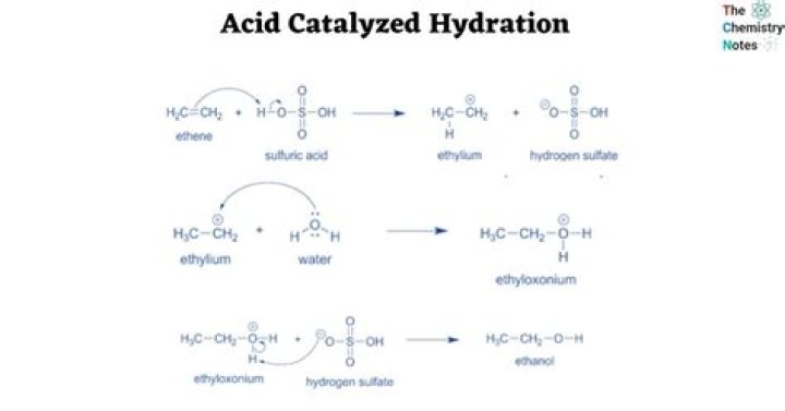What is catalyzed process?