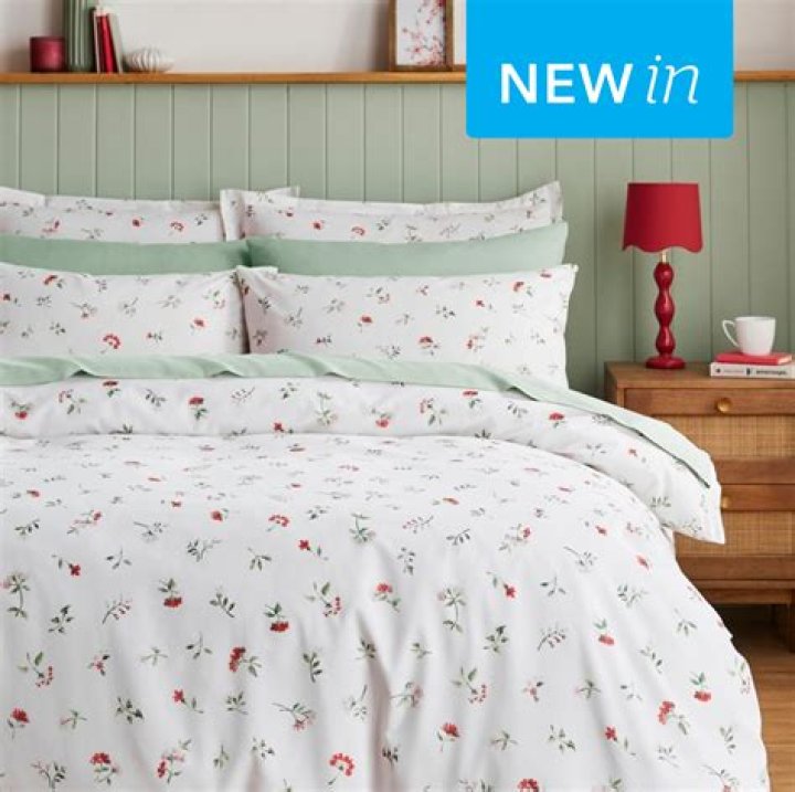 What is Chevron bedding?